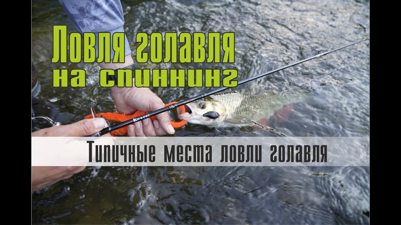 Ловля голавля на спиннинг. Типичные места ловли голавля на малых и средних реках.