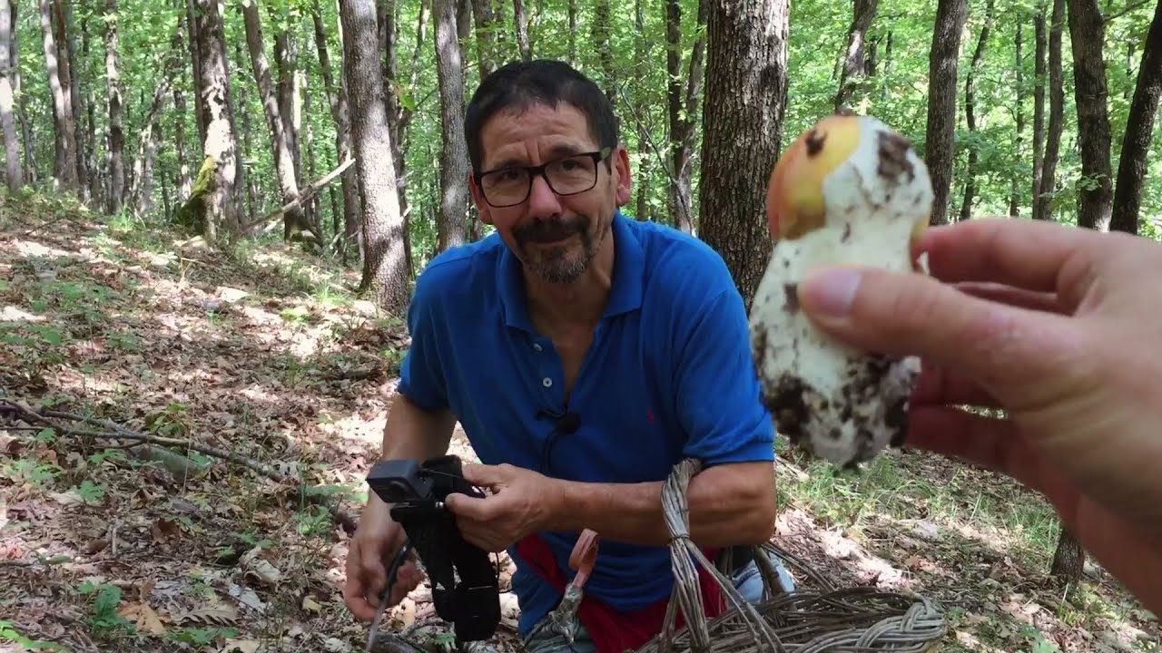 Una bella carrellata di funghi ovuli e porcini!!!