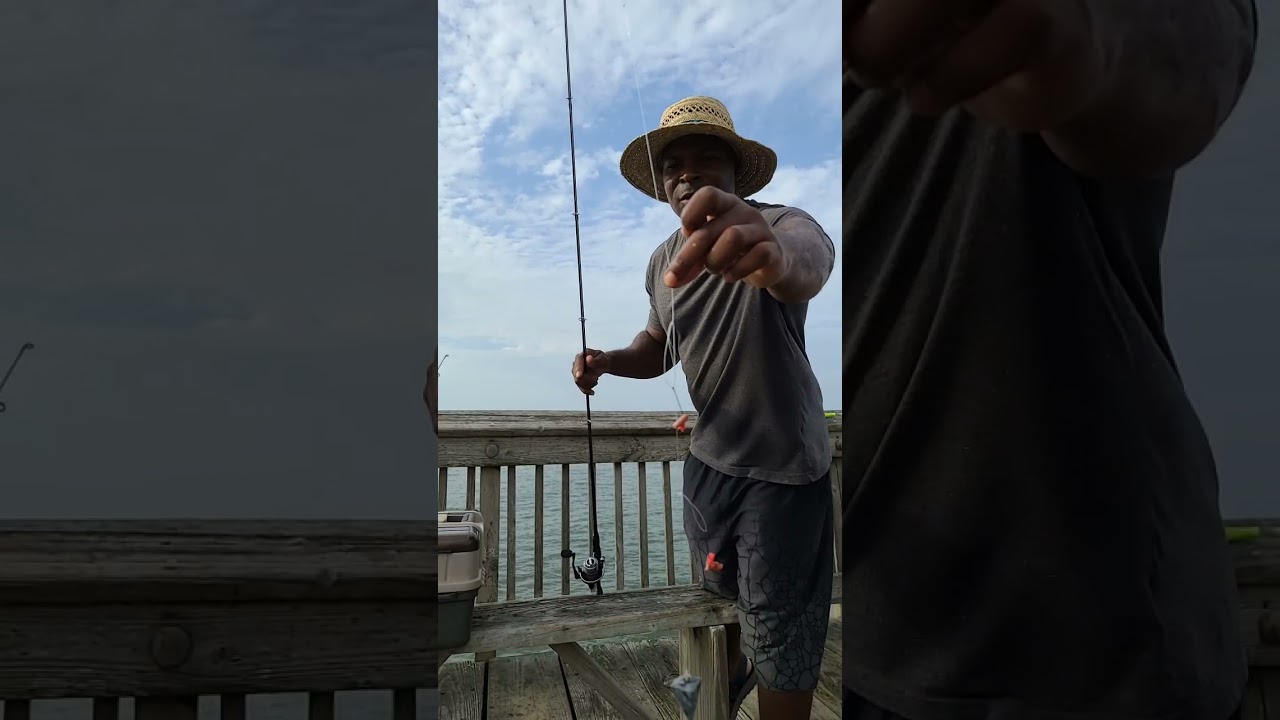 Pok chop sammich catching spots at sandbridge pier VA
