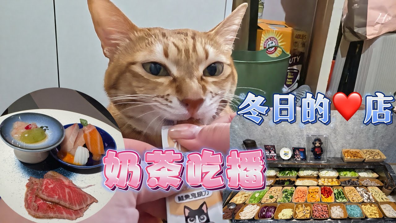 貓咪吃播～奶茶｜自助式野菜吧～冬天幾乎每星期來報到｜Taiwan Vlog 