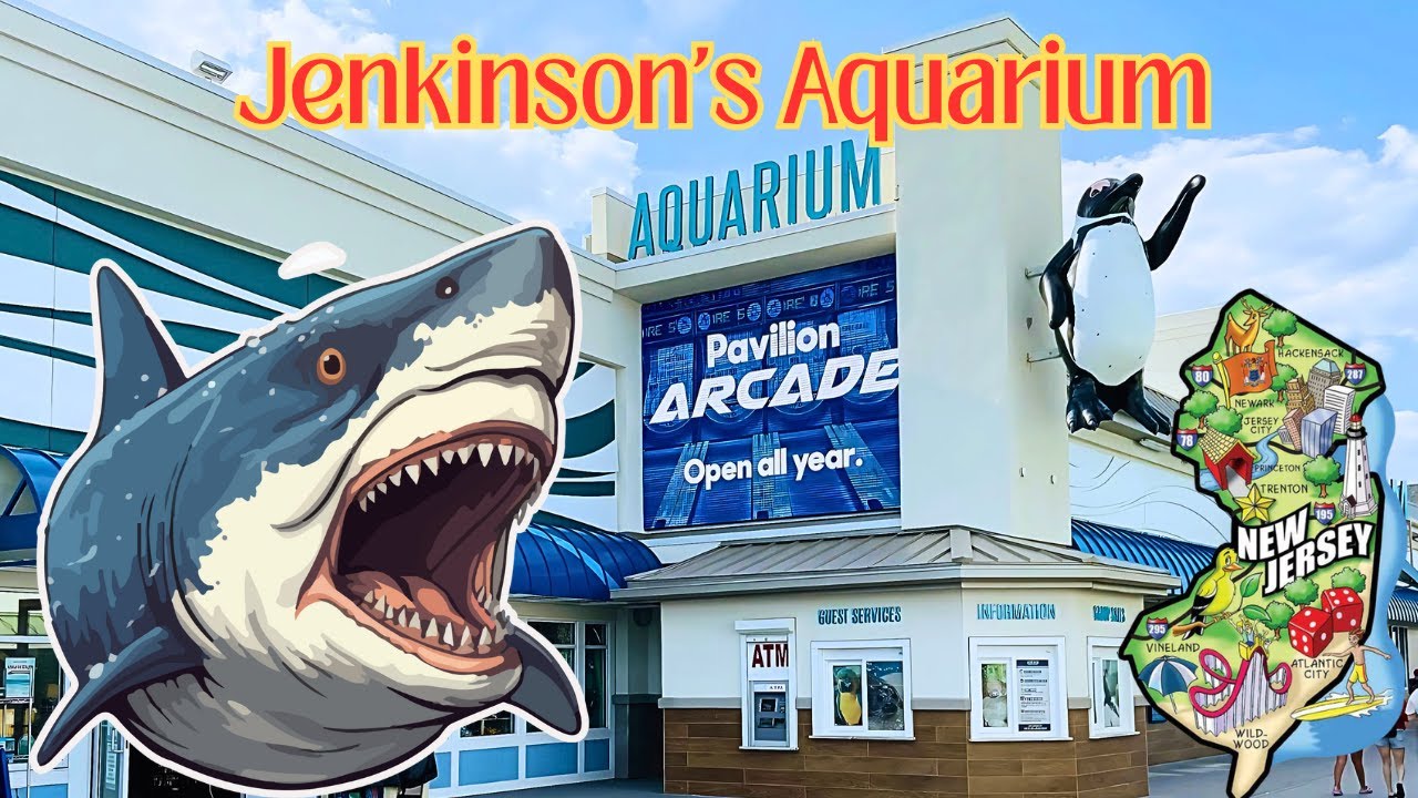 Our Visit to Jenkinson's Aquarium | Point Pleasant Boardwalk | New Jersey | Vlog 21