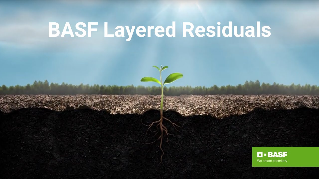 Fight Pigweed by Layering Residual Soybean Herbicides