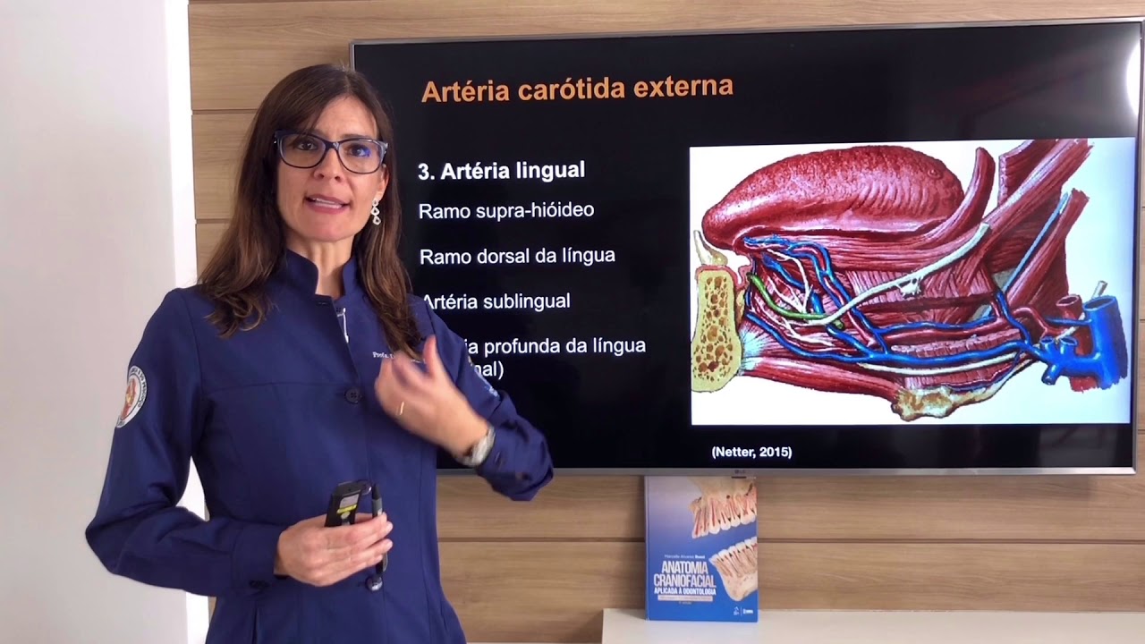 Vascularização Arterial da Cabeça e do Pescoço. PARTE  2