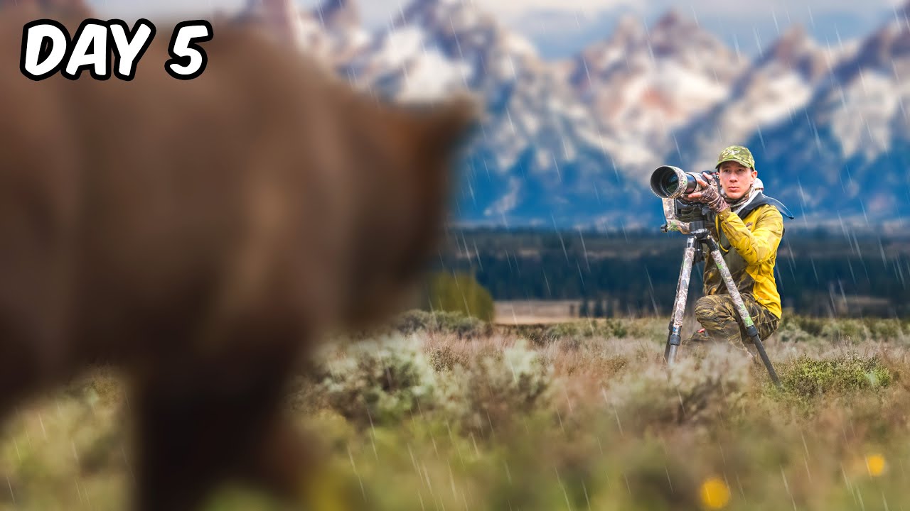 Once in a Lifetime Experience in Yellowstone
