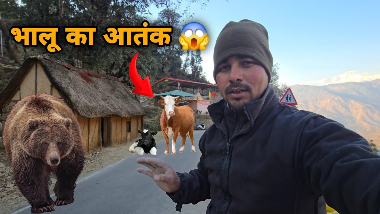 सोचा नहीं था ऐसा होगा… शादी से लौटे और भालू का आतंक दिखा || village lifestyle vlog || sj family vlog