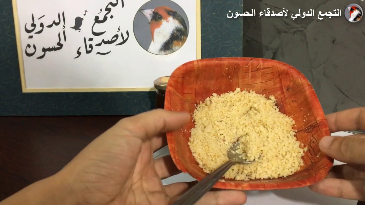خلطة التجهيز و التزاوج للحسون و الكناري