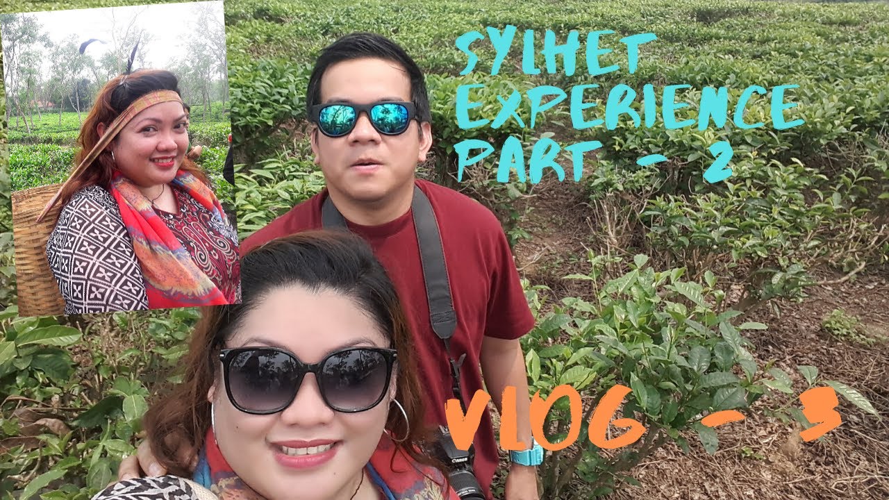 FOREIGNERS IN SYLHET PART-2 / Srimangal Tea Garden & Resorts, Bangladesh / VLOG 3