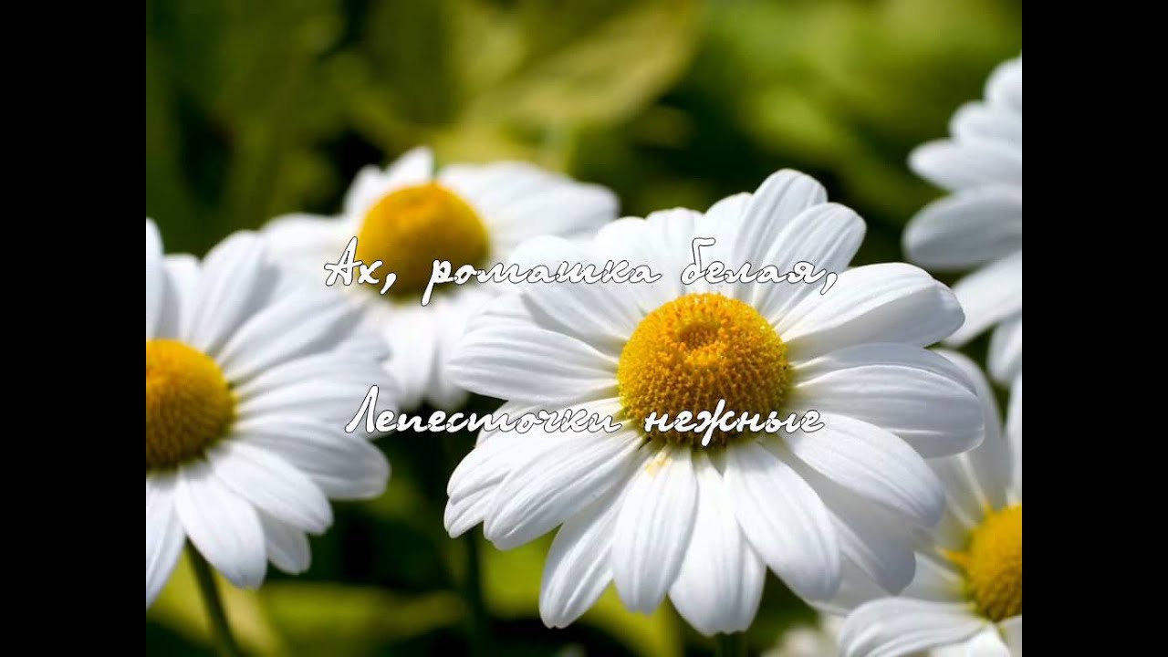 Песня 