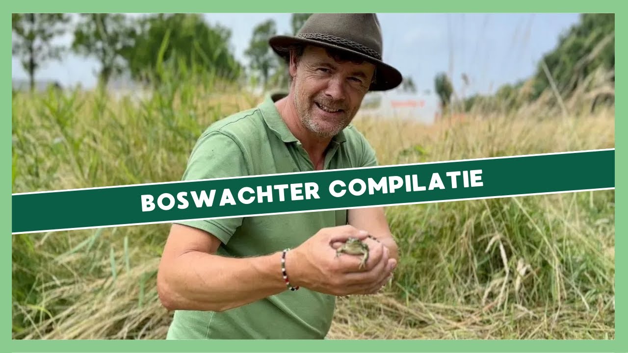 Kijk mee met Koos | de leukste natuurbeleving met Boswachter Evert Jan 🤠🌳