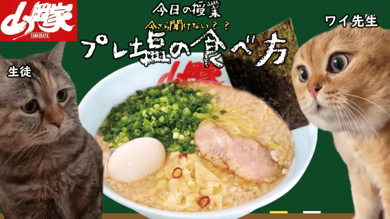 【令和7年最新版】ワイ先生がプレ塩の食べ方を解説するだけの授業【山岡家】#猫ミーム  #猫マニ
