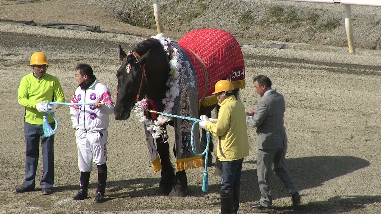 オレノココロ号　コウシュハウンカイ号　ソウクンボーイ号引退セレモニー