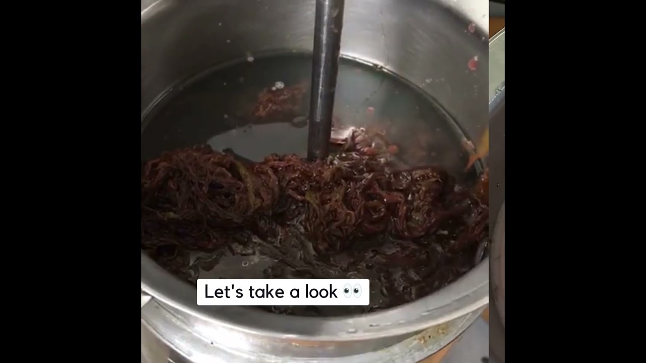 How is our Seaweed extract made? 🤔