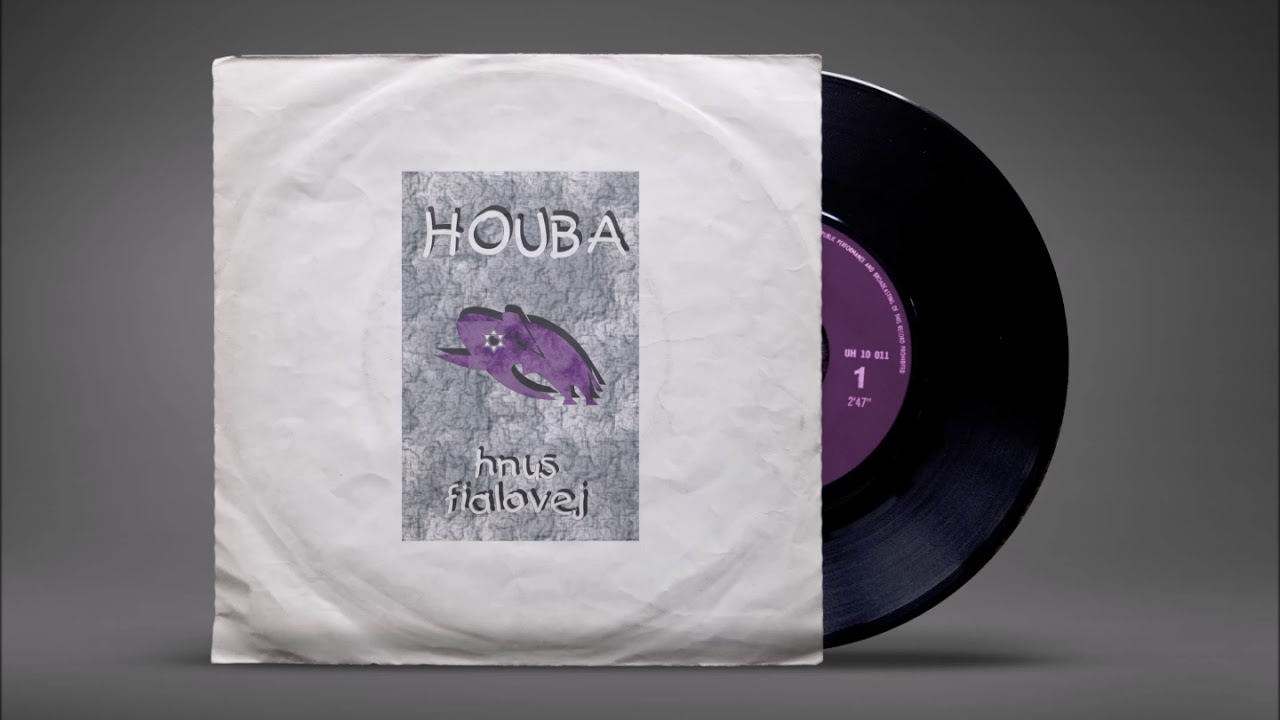 Houba - &Uacute;st&iacute; pod Labem (Hnus Fialovej)