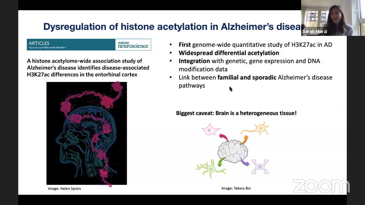 12. Sarah Marzi - Dysregulation of histone acetylation in Alzheimer's disease