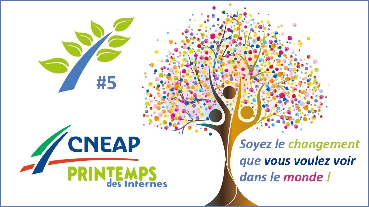 Printemps des Internes 2026