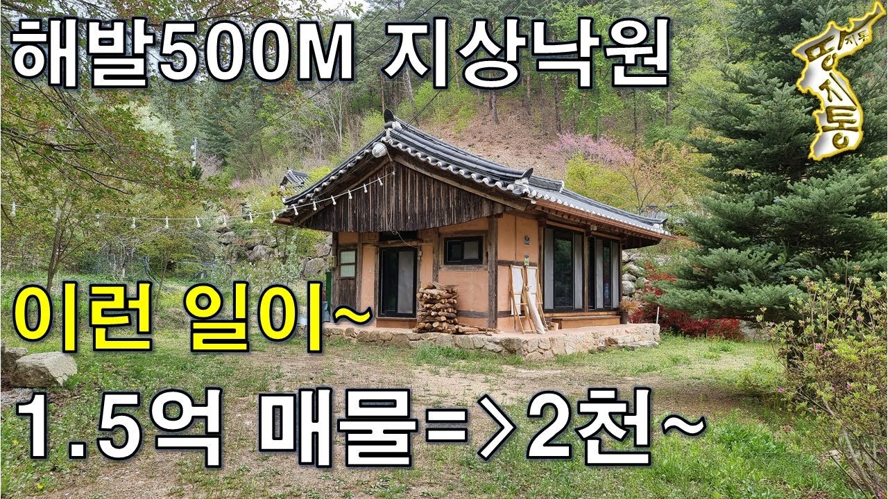1억5천만원 한옥 매물이 2천만원에 나왔습니다.국유림자락 해발500M 지상낙원[땅지통]
