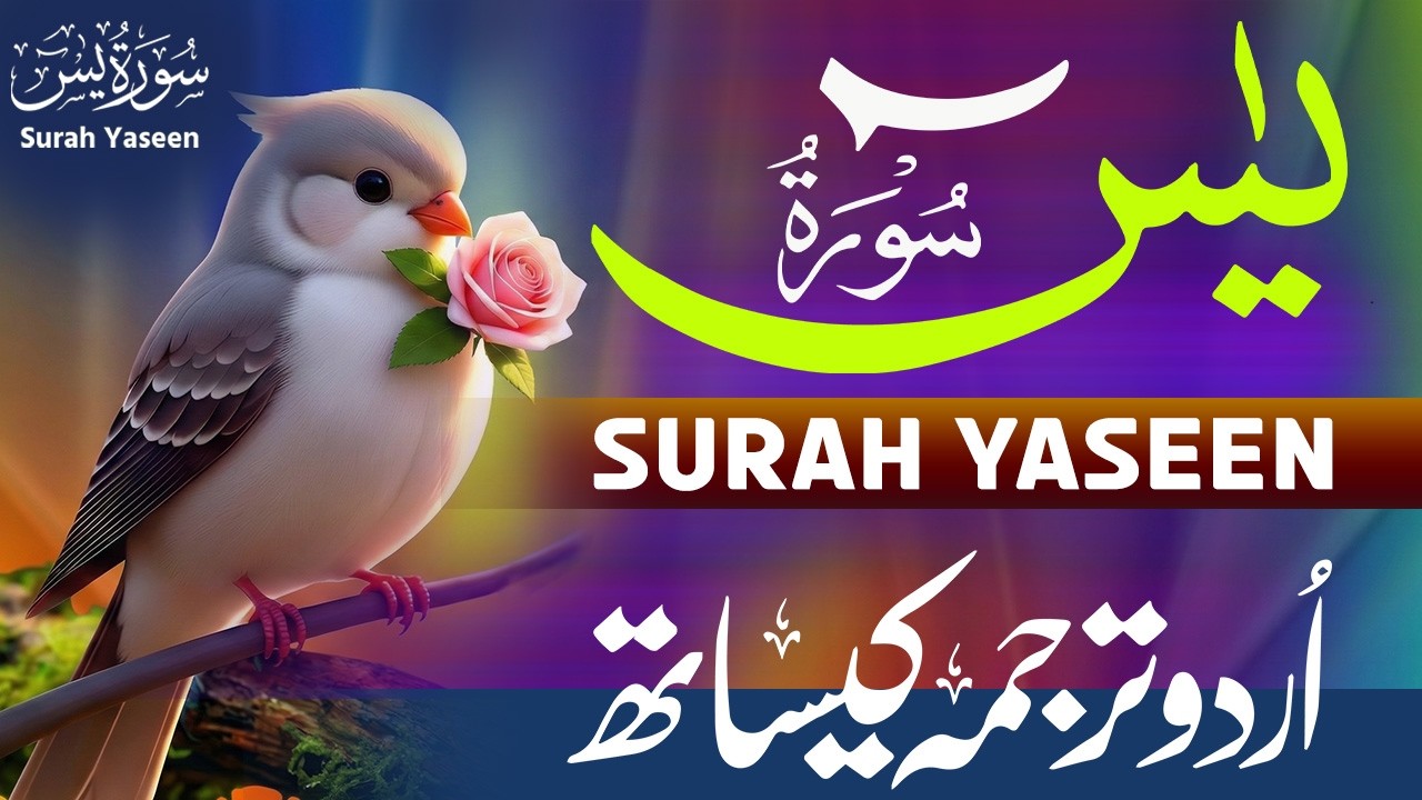 Surah Yaseen With Urdu Translation By Qari Mansoor Ghaznawi I Hindi Tarjuma | Zikrullah Network