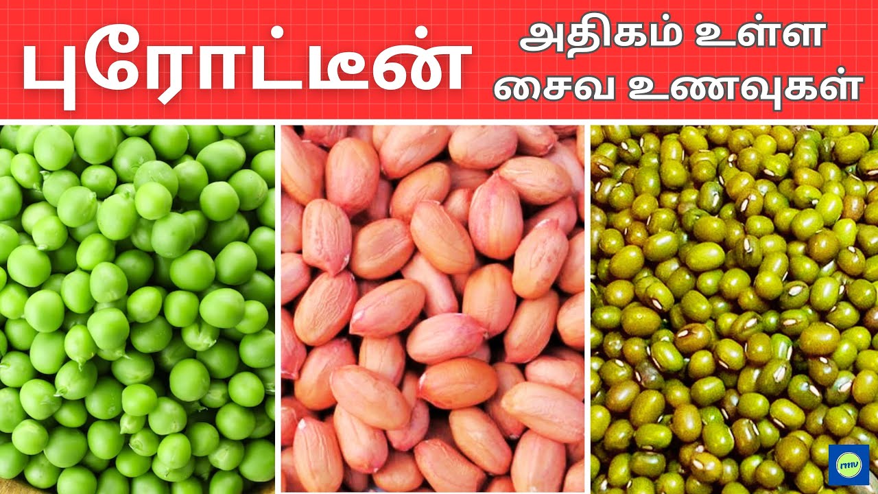 முட்டையை விட 5 அற்புதமான சைவ புரத உணவுகள் | protein foods tamil