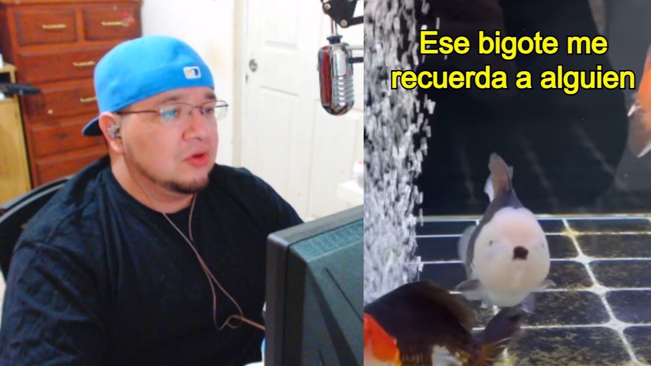 Santos jefes, es el BACALAO!! | Clipsillos Graciosillos #99