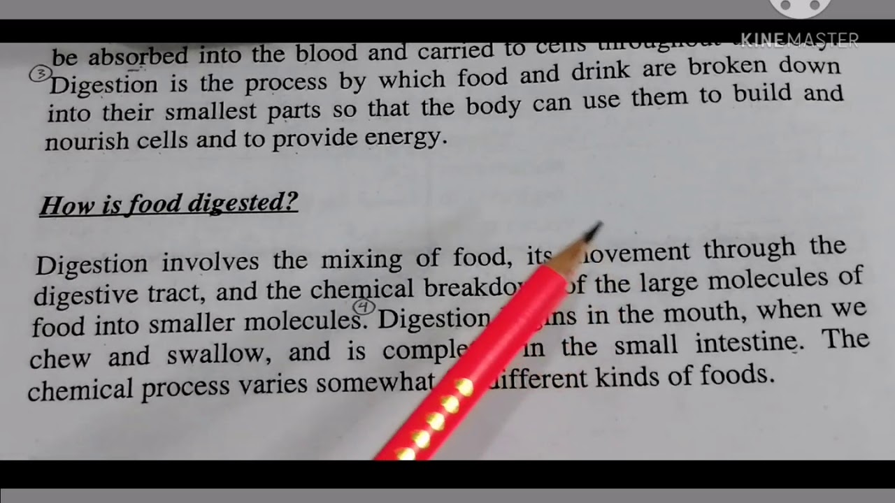 الأول تمريض ¶ترمنولوجي ¶الوحدة 5¶الجهاز الهضمي Nursing 1 ¶Terminology¶Digestive System
