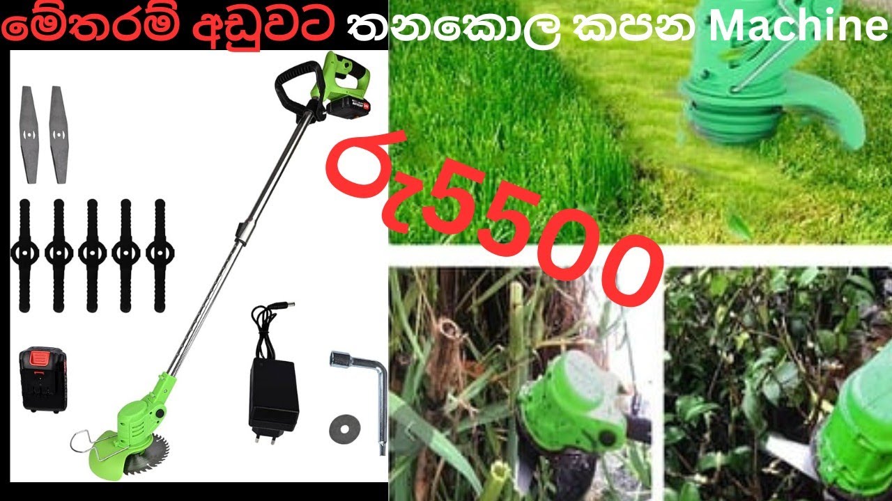 වත්ත සුද්ද කරන්න වෙලාව නෑද? මෙන්න අඩු මුදලට සුපිරි විසඳුමක් - දැන්ම බලන්න