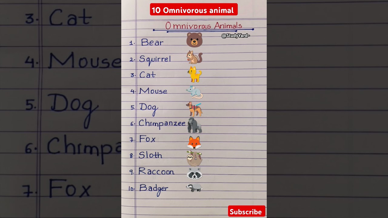 Omnivorous animal l 10 omnivorous animal l omnivorous animal namelcarnivorous herbivores omnivorous