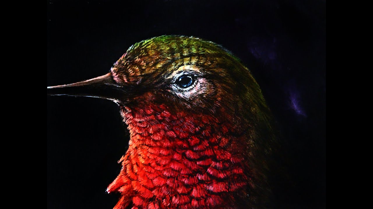 Radiance - Ruby-Throated Hummingbird - Acrylic Speed Paint