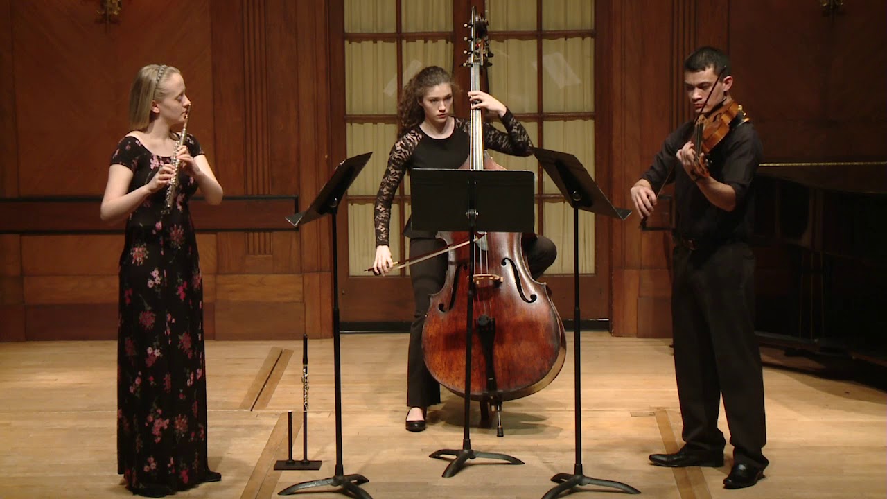 Erin Schulhoff: Concertino for Flute, Viola, and Doublebass