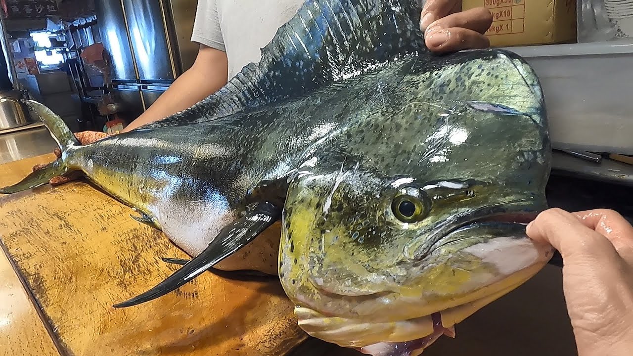 GIANT MAHI MAHI FISH CUTTING SASHIMI - Тайваньские морепродукты