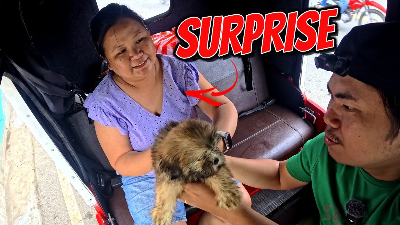 SURPRISE ANNIVERSARY CELEBRATION | Rehoming MILO