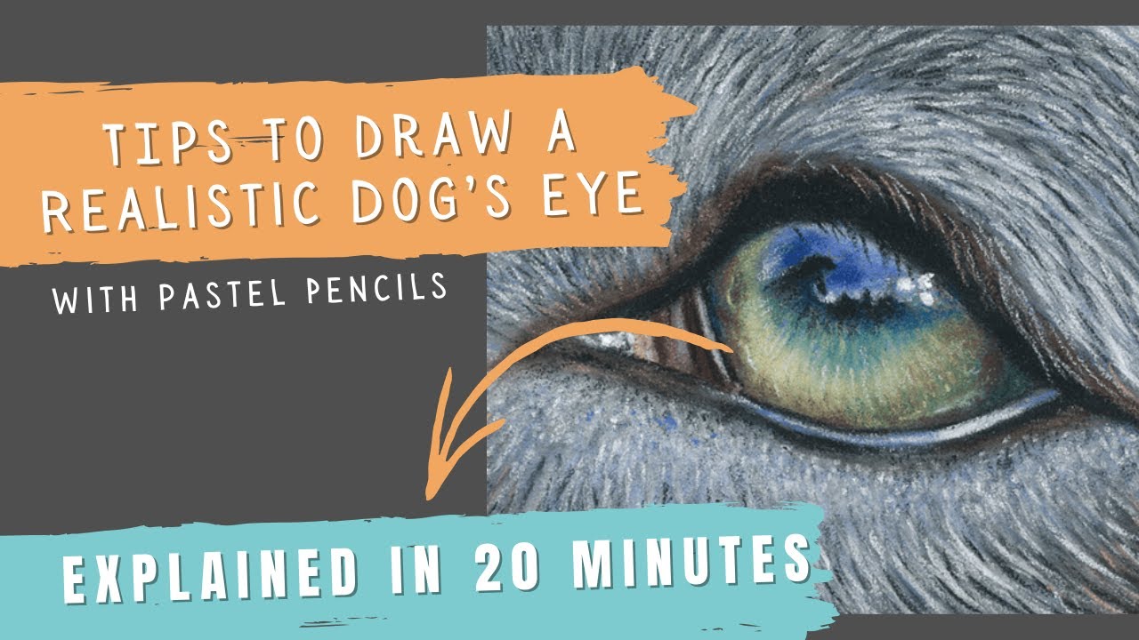 Realistic Dog Eye Drawing Explained in 20 Minutes