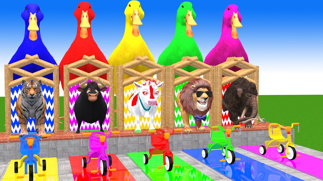 Long Slide Game With Cow Elephant Gorilla Hippopotamus Tiger 3d Animal Game Funny 3d Animals
