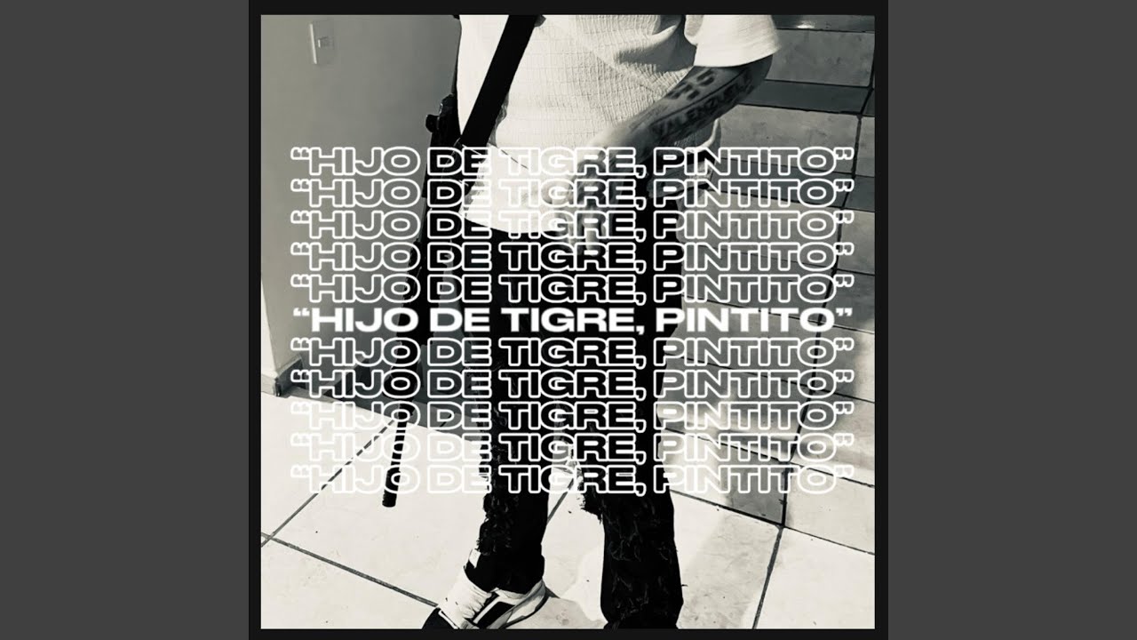 HIJO DE TIGRE, PINTITO