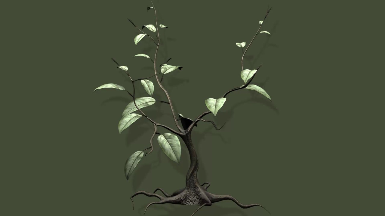 Basic tree/plant modeling 3ds max (timelapse)
