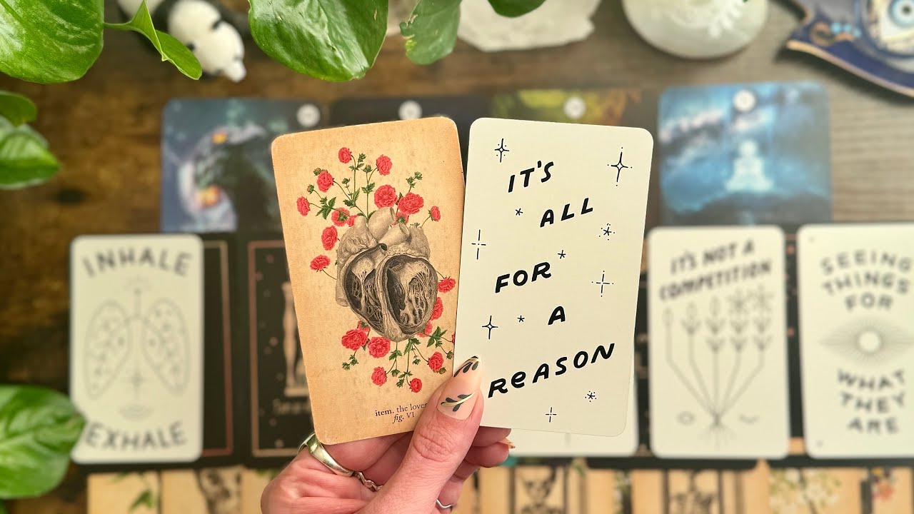 It’s all for a REASON! ❤️‍🩹🦋🥰🌈🥺💕General LOVE Reading💕🥺🌈🥰🦋❤️‍🩹