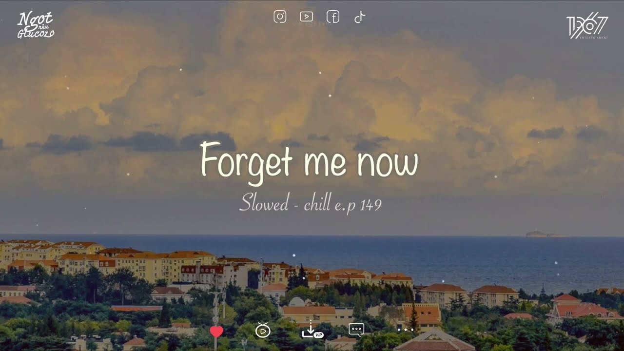 Đĩa nhạc 149 ~ Một người lặng nhìn từng cánh hoa trong tay, Anh đã lạc vào | Ngọt như glucozo lofi