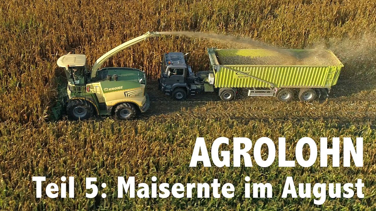 Lohnunternehmen Agrolohn: Maisernte im August