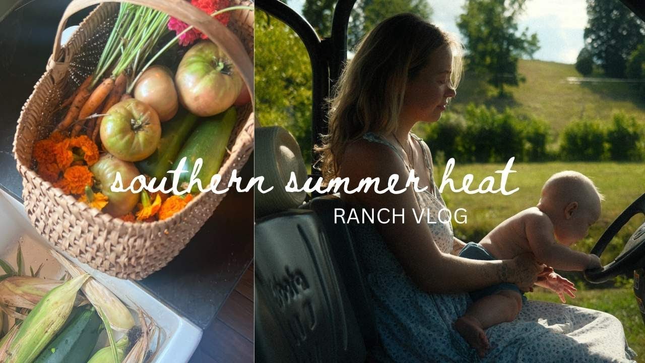 Summer VLOG  🌾  it's hot out here / farm chores, starting solids, simple meals!