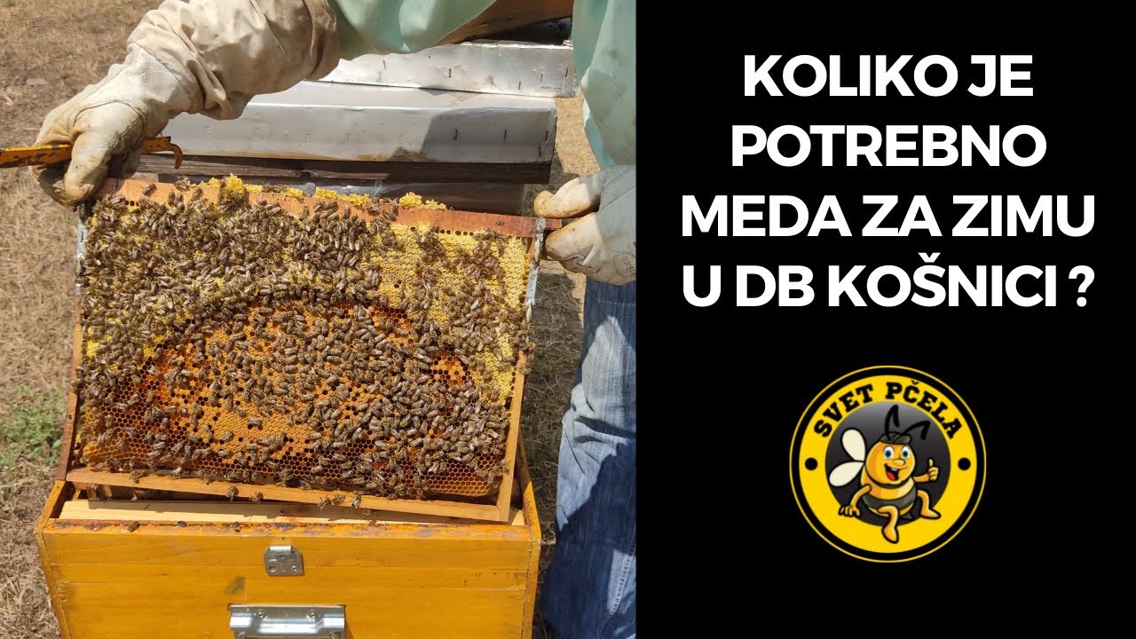 Koliko je potrebno meda za zimu u DB košnici - Pčelarstvo 2022