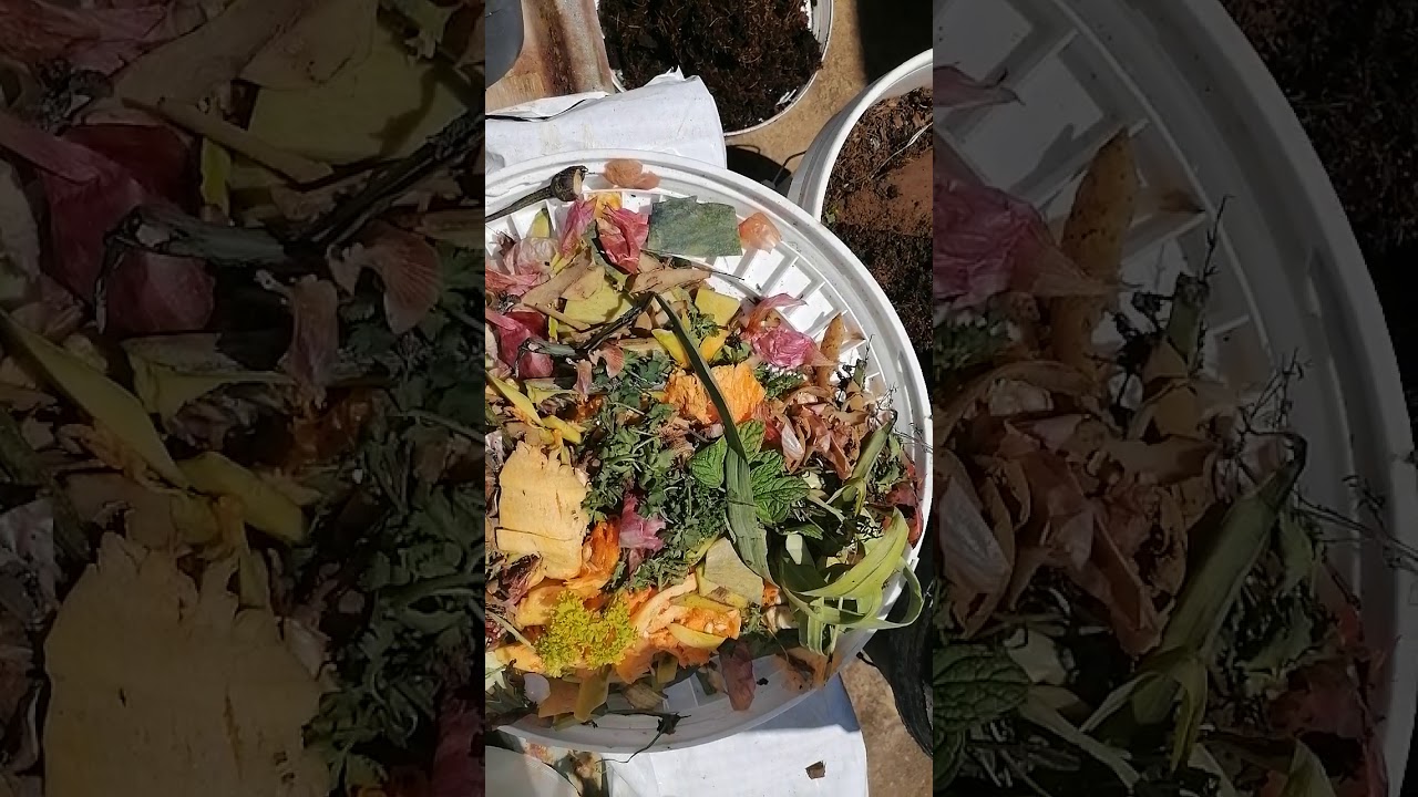 Session 3   Making your own Compost