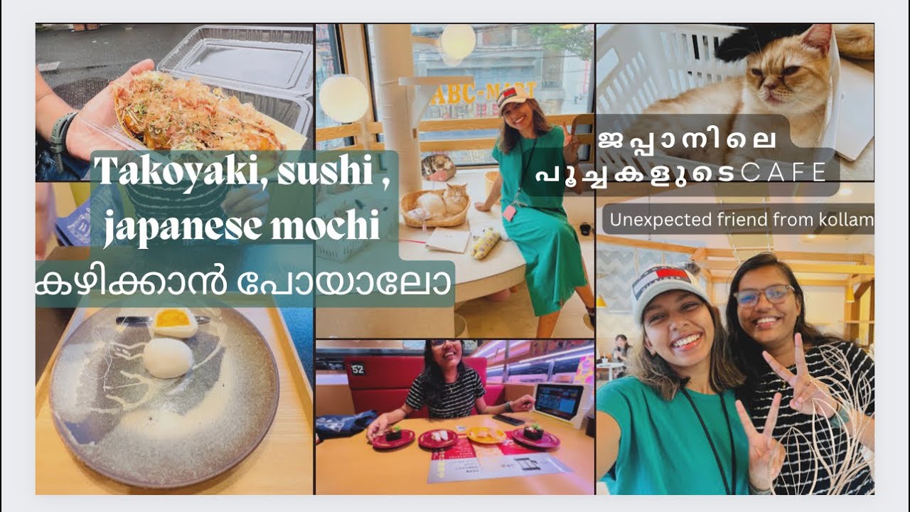 ജപ്പാനിലെ Sushi, Takoyaki, Japanese mochi കഴിക്കാൻ പോയാലോ || Cat cafe japan