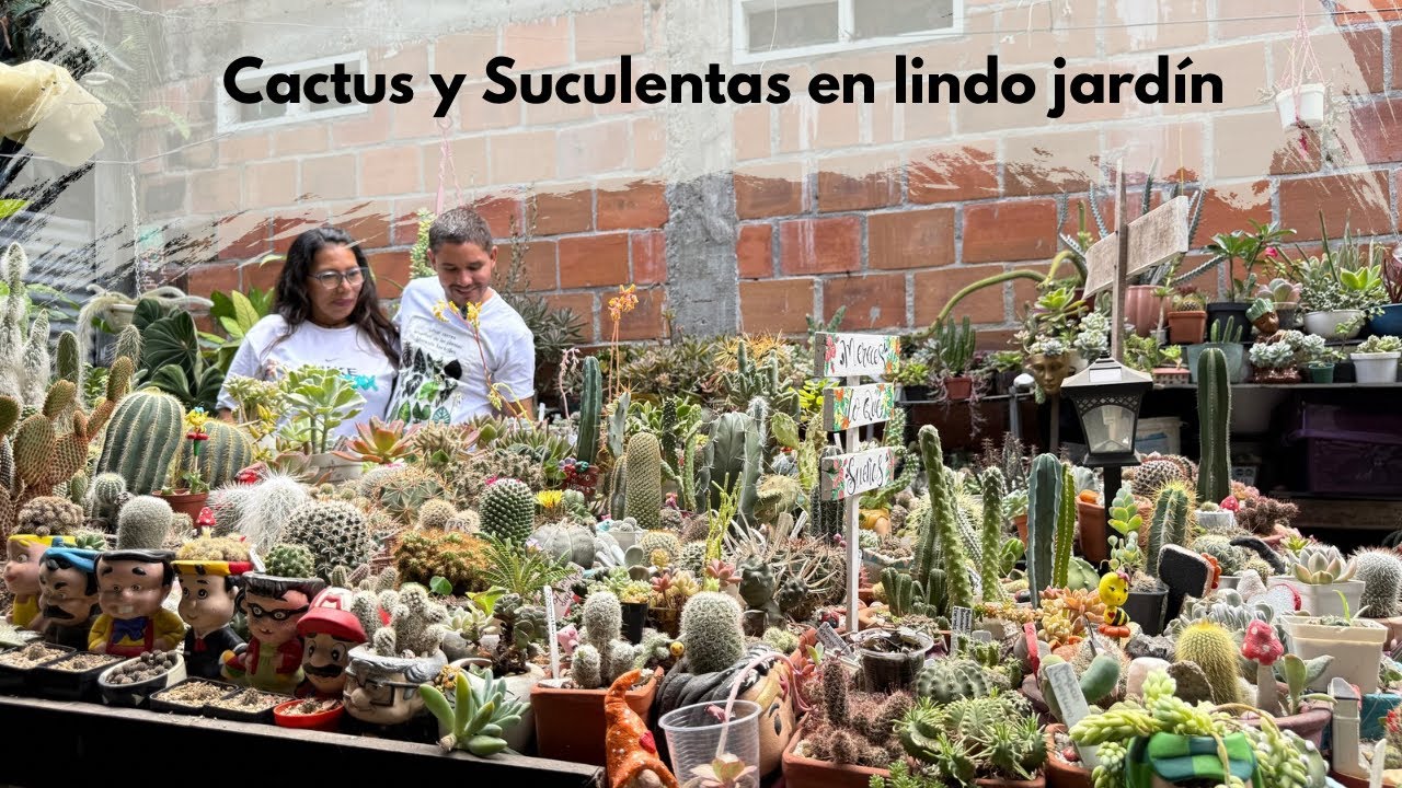 Cactus y suculentas | convirti&oacute; su peque&ntilde;o patio en para&iacute;so lleno de plantas 
