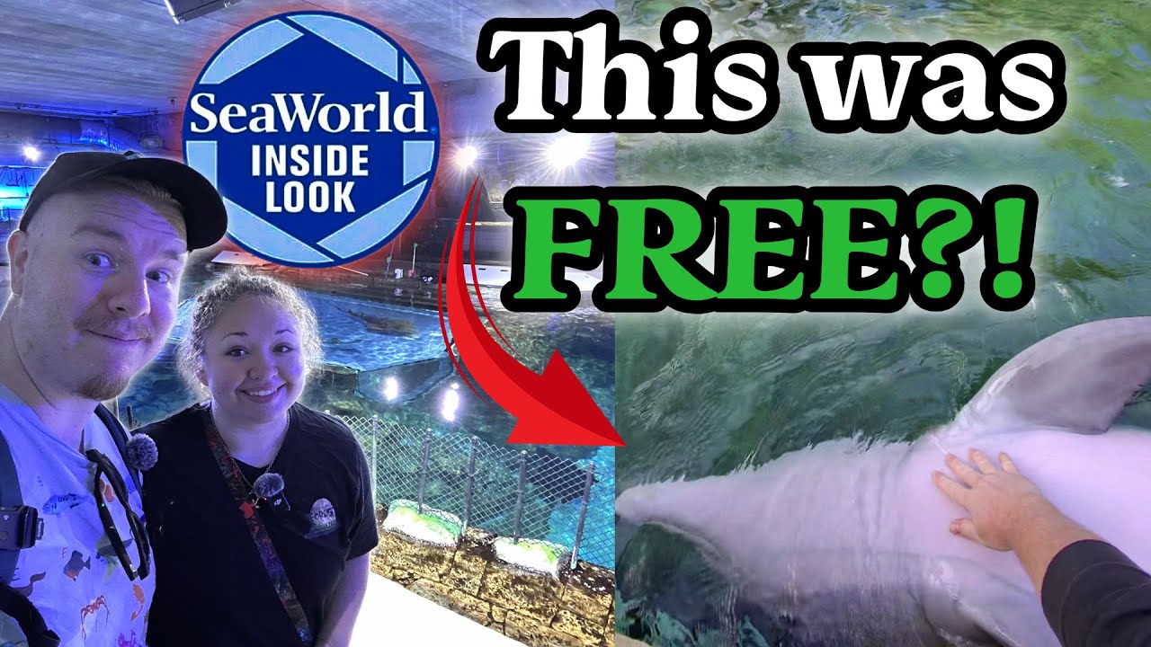 SeaWorld Opened the Doors to Something MOST Guests Never See… and It Was FREE!