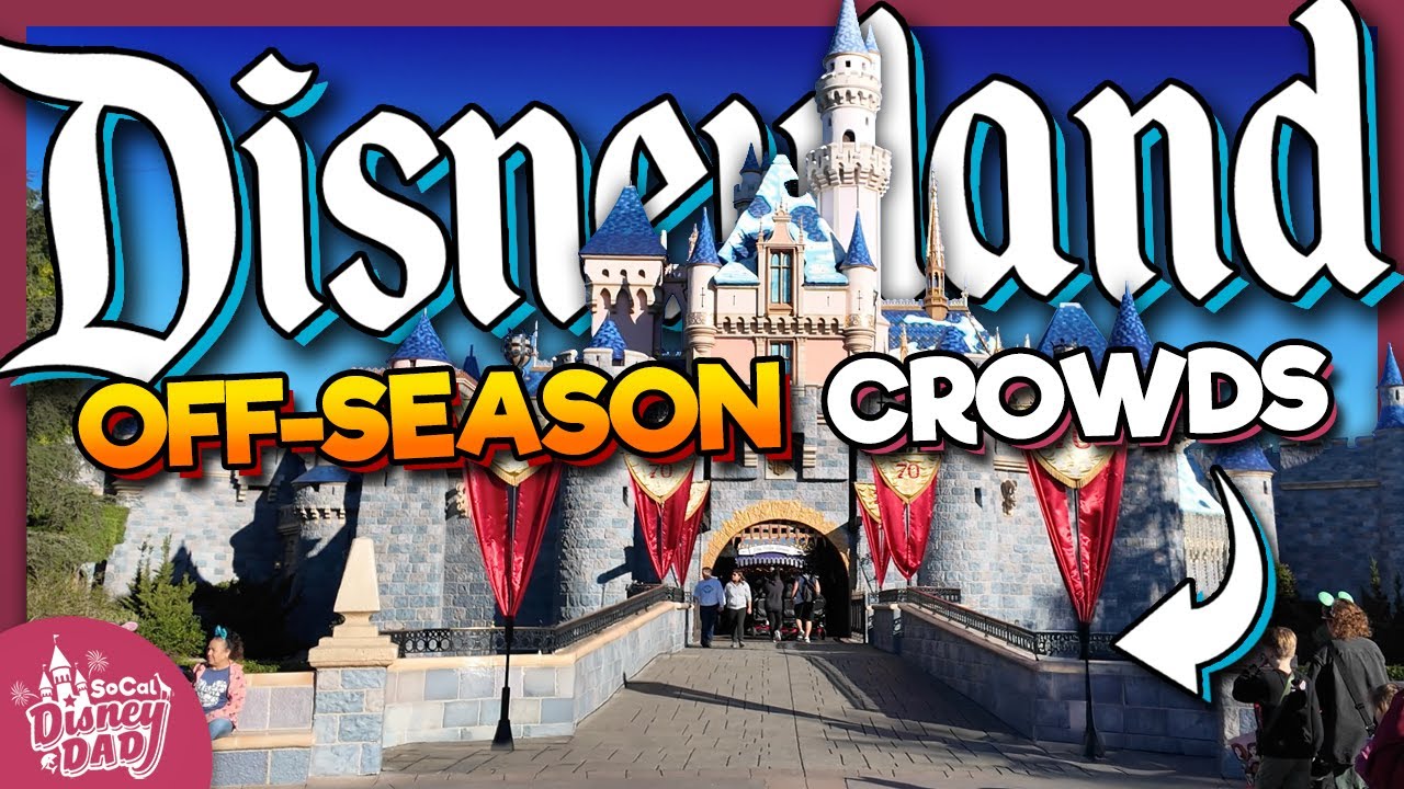 How EMPTY is Disneyland in the Off Season? | January 2026 Crowd Update