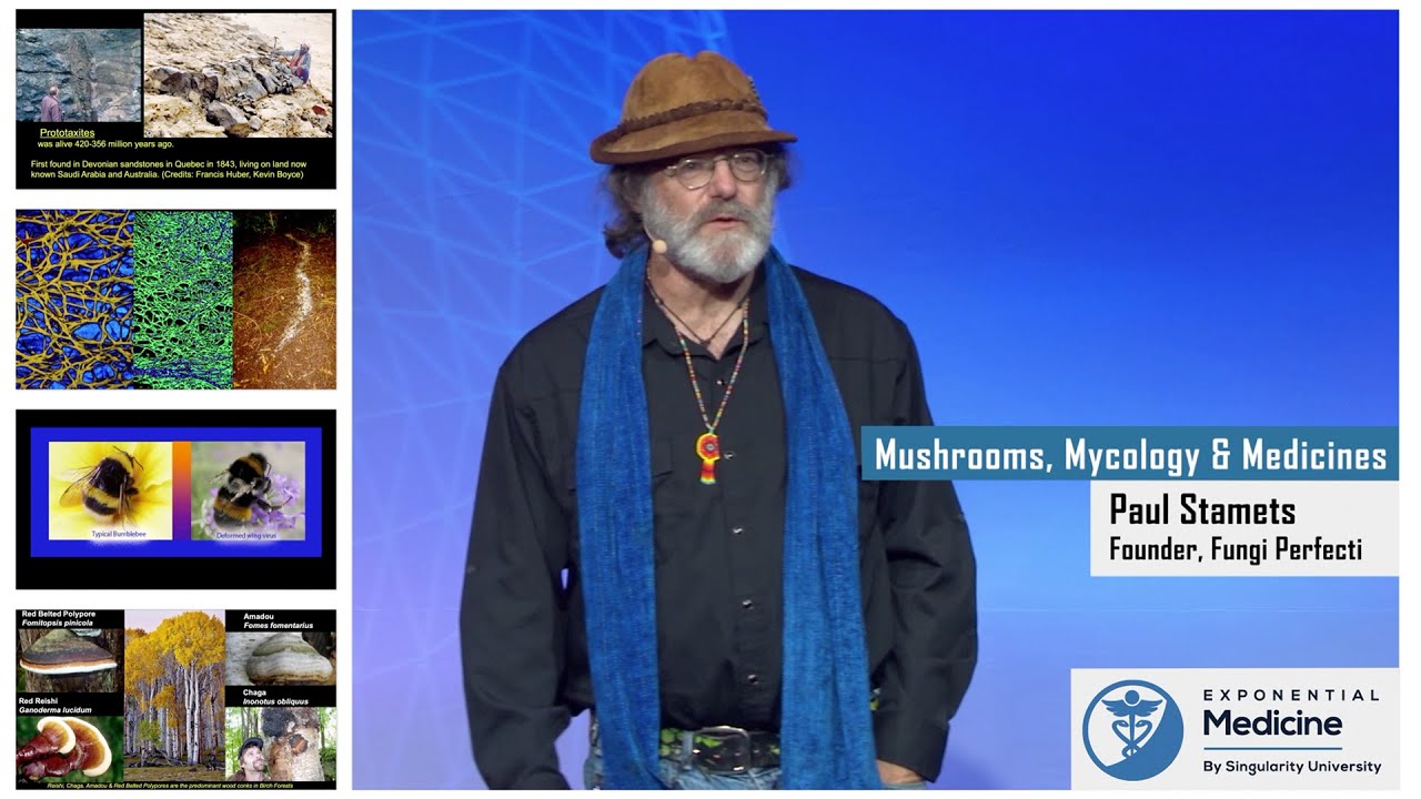 Paul Stamets: Mycology and Mushrooms as Medicines