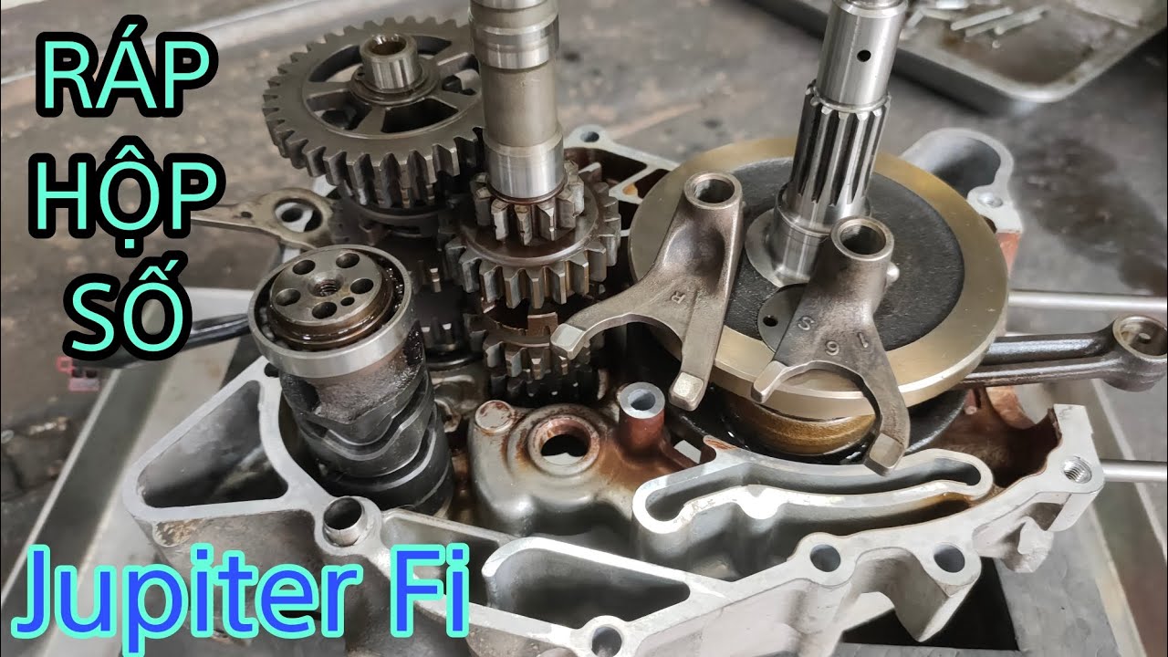 Ráp dên và hộp số Jupiter Fi