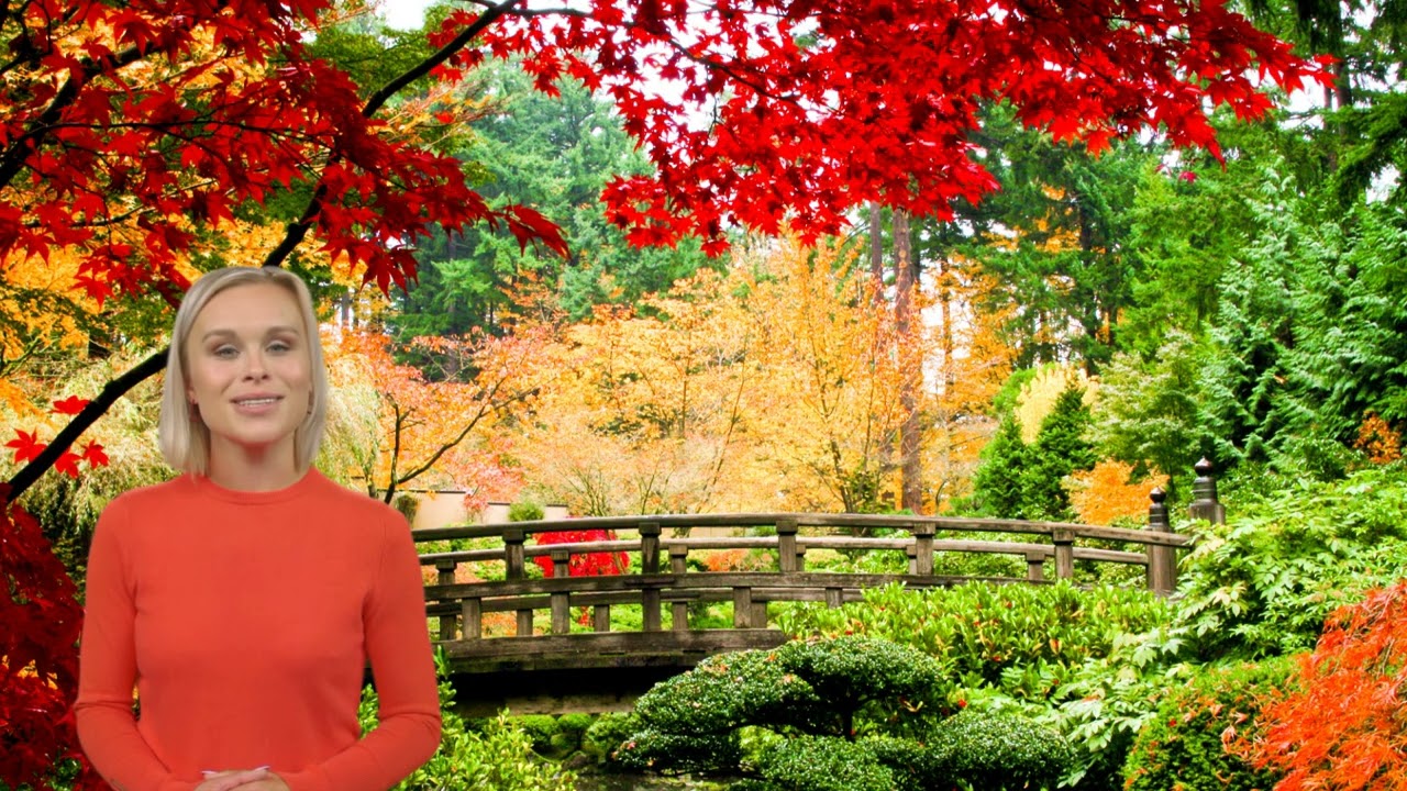 Bauschweiz TV: Garten