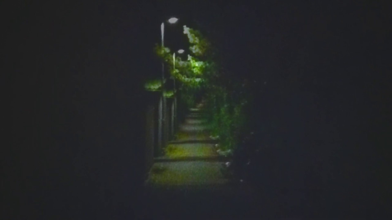 GOLDMOUTH I GAZE OF THE SUN (AUDIO)