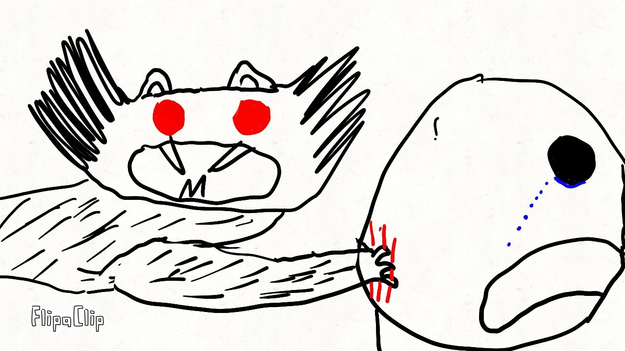 The killer cat
