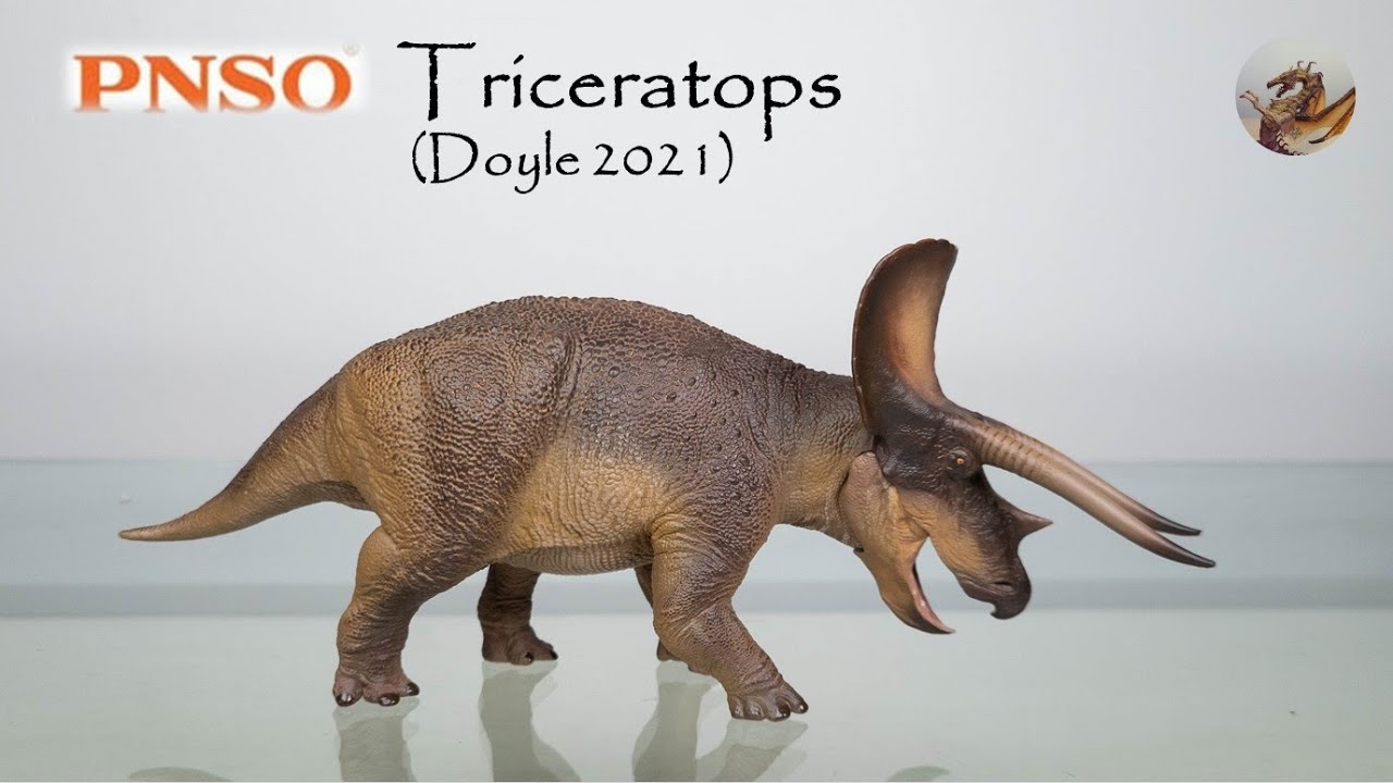 168: PNSO Triceratops (Doyle 2021) Review